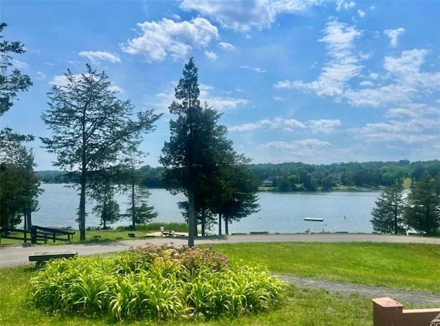 view of water feature