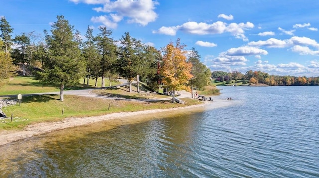 property view of water