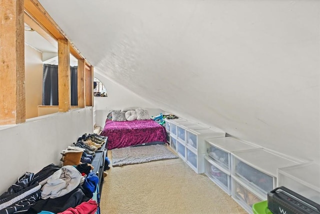 bedroom with carpet floors