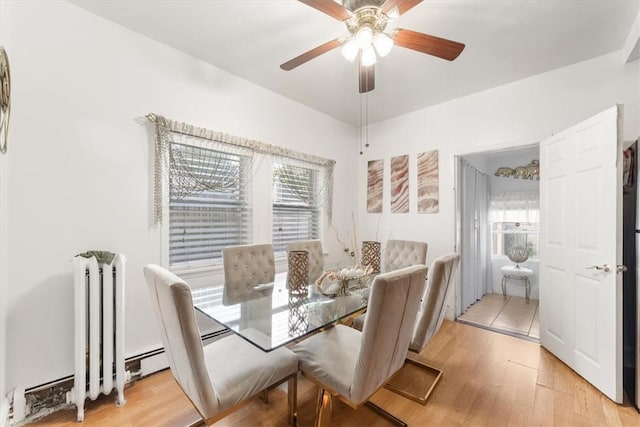 dining room featuring light wood-type flooring and ceiling fan