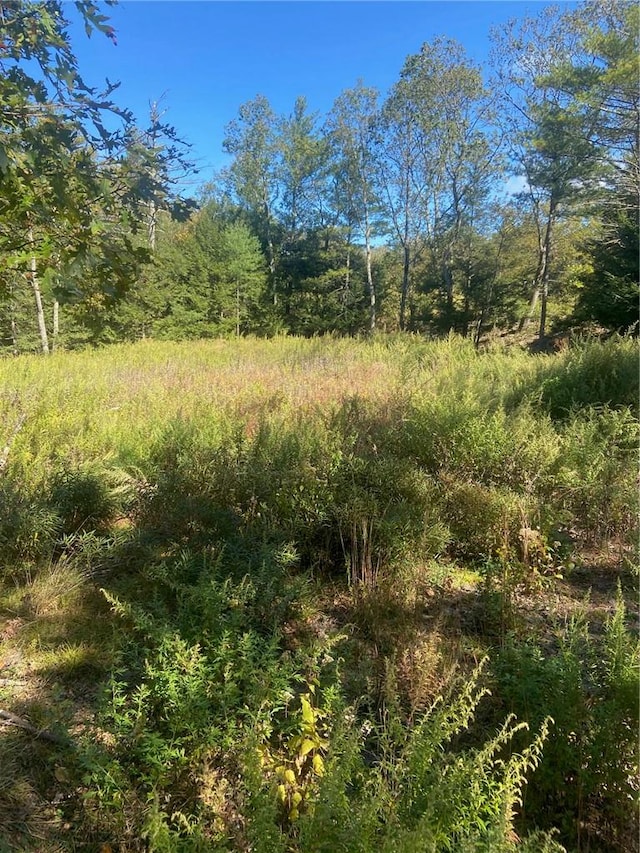 Manorville Rd, Saugerties NY, 12477 land for sale