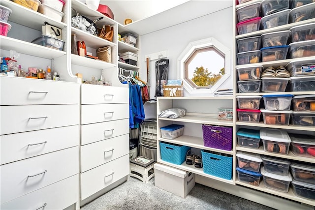 spacious closet with carpet floors