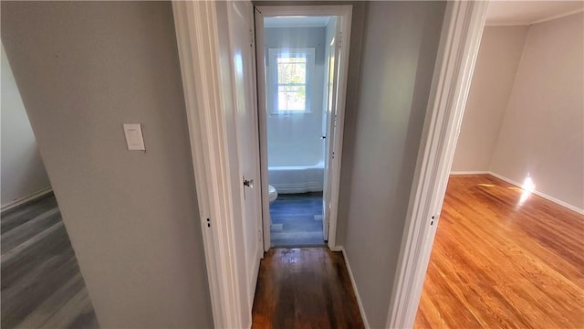 hall featuring wood-type flooring