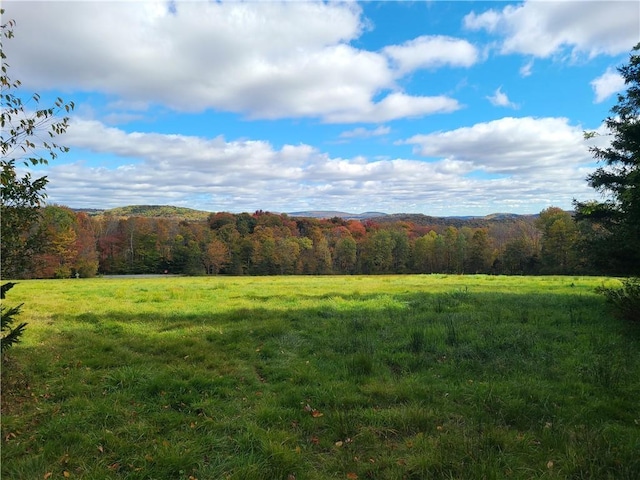 view of nature with a rural view