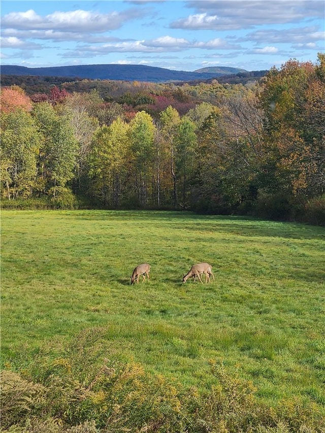 view of mountain feature featuring a rural view