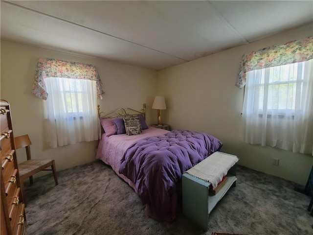 carpeted bedroom with multiple windows