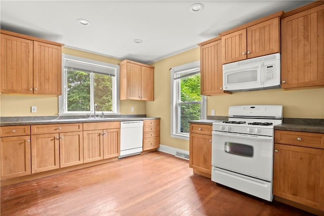 kitchen with a wealth of natural light, light hardwood / wood-style flooring, white appliances, and sink