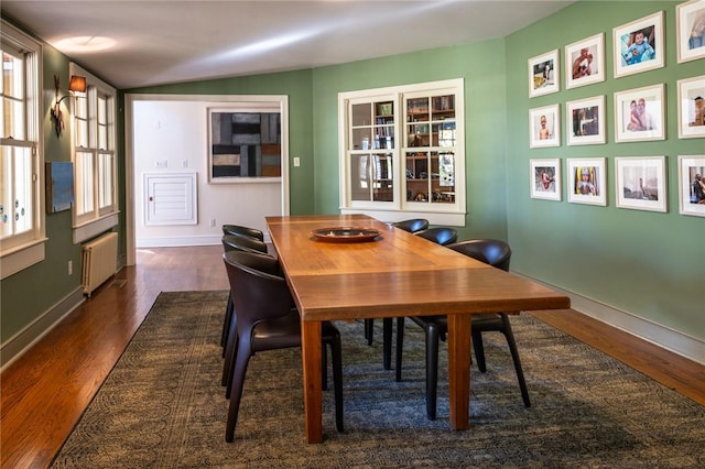 dining space with radiator, a wealth of natural light, and dark wood-type flooring