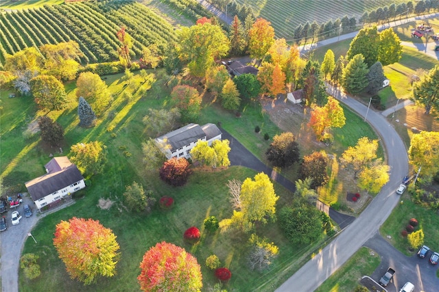 birds eye view of property featuring a rural view