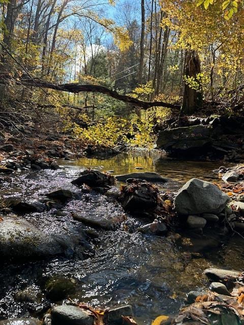 view of nature