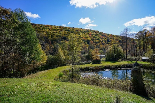 549 Fuller Hill Rd, Roscoe, NY 12776 - photo 17