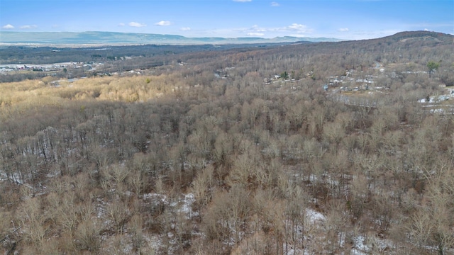 Loch Ln, Montgomery NY, 12586 land for sale