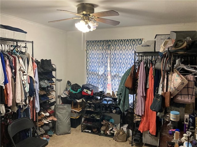 walk in closet featuring ceiling fan and carpet floors