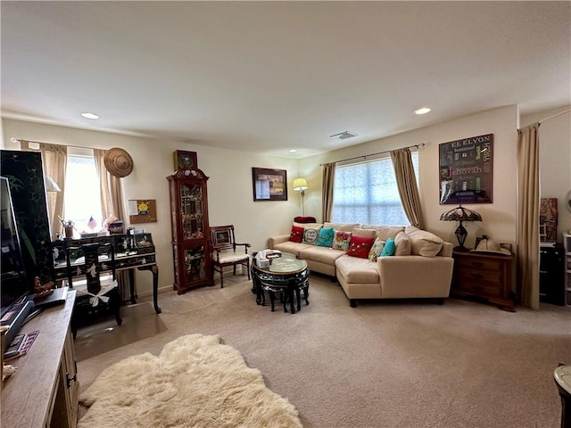 carpeted living room with plenty of natural light