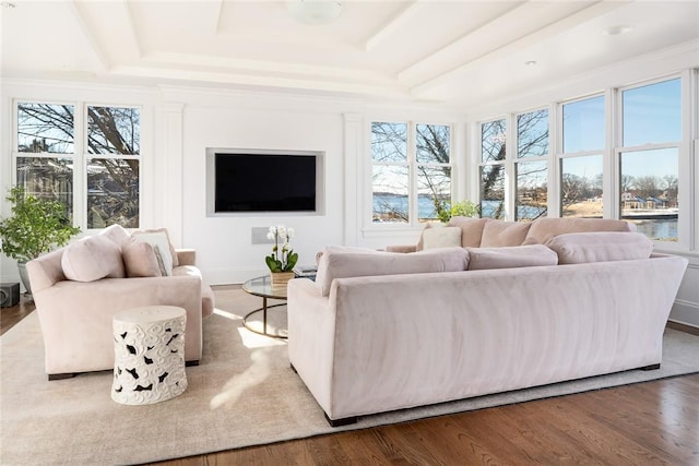 living room featuring plenty of natural light and wood-type flooring