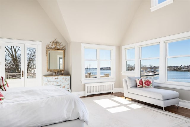 bedroom with radiator heating unit, a water view, high vaulted ceiling, and multiple windows