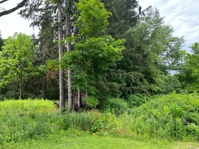 657 Lybolt Rd, Middletown NY, 10941 land for sale