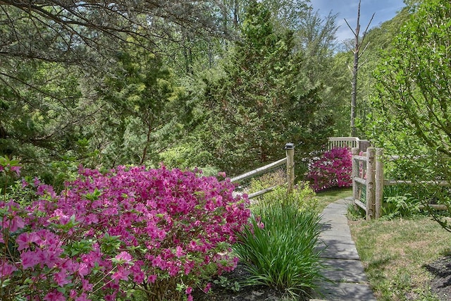 7 High Point Cir, Chappaqua, NY 10514 - view of yard with a view of trees