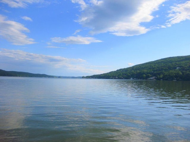 view of water feature