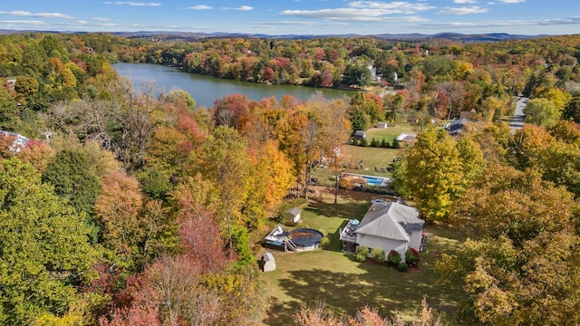 drone / aerial view with a water view and a forest view