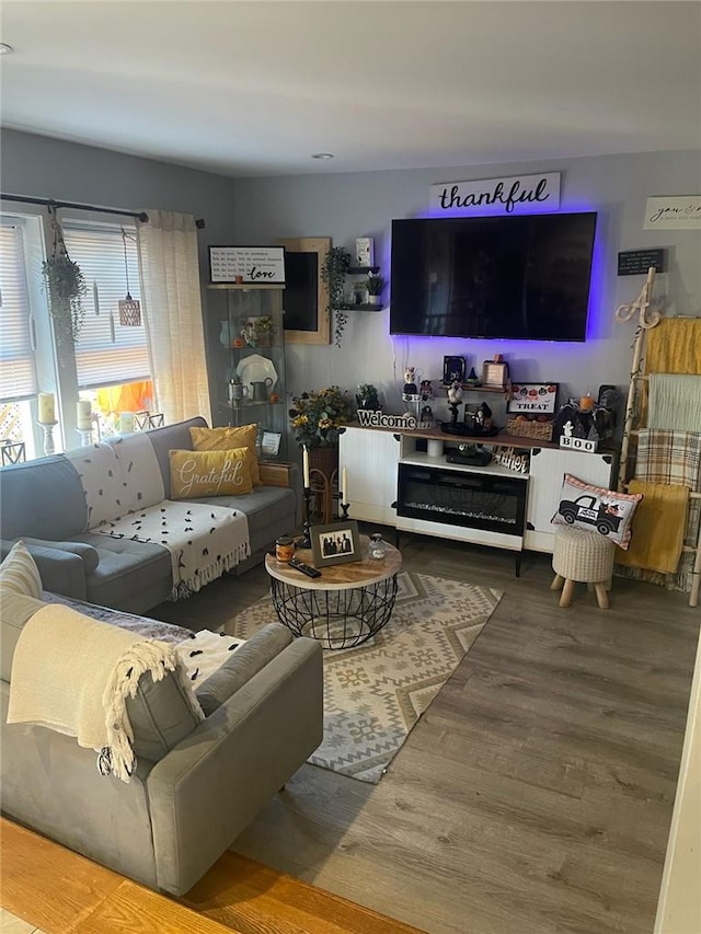 living room with hardwood / wood-style flooring