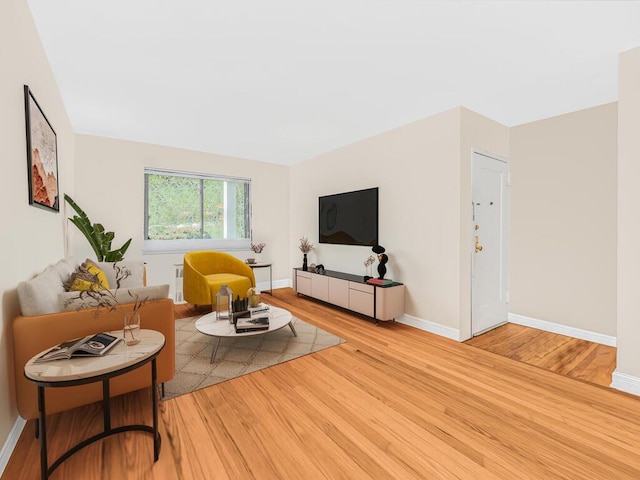 living room with radiator heating unit and light wood-type flooring