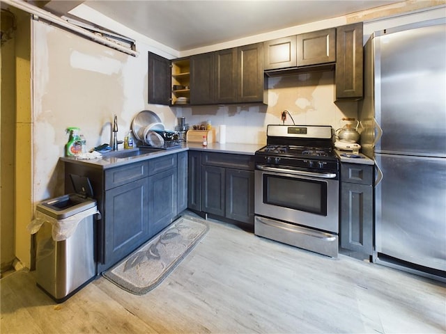 kitchen with sink, light wood-type flooring, dark brown cabinets, and appliances with stainless steel finishes