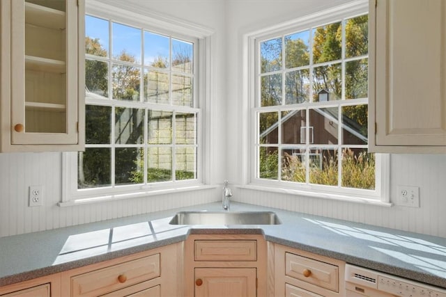 kitchen with dishwasher, plenty of natural light, and sink