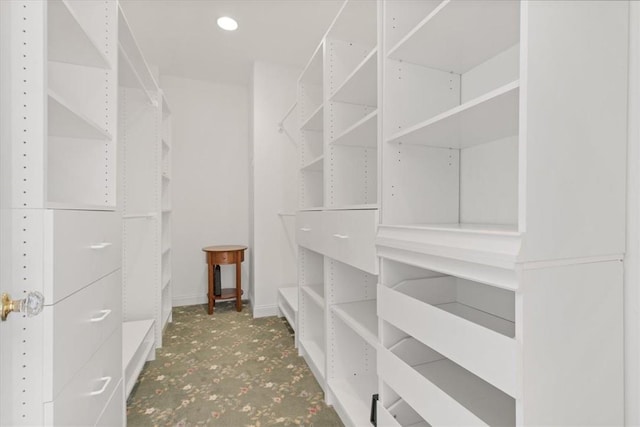 view of spacious closet