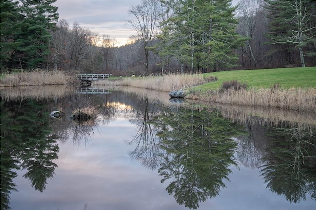 view of water feature