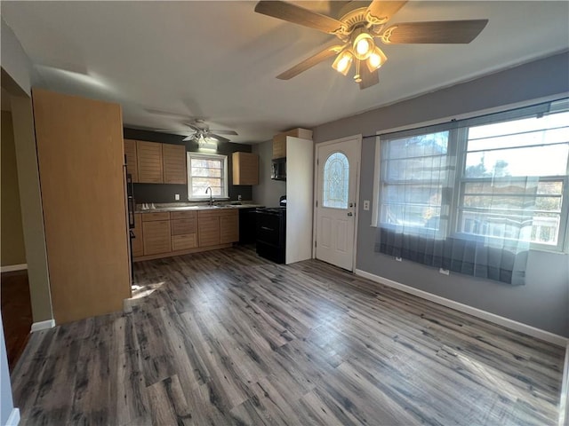 kitchen with ceiling fan, sink, black range with electric cooktop, dark hardwood / wood-style flooring, and fridge