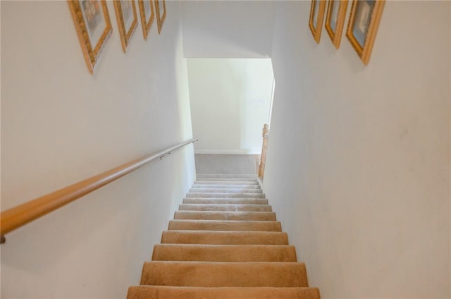 stairway featuring carpet floors