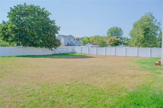 126 Canterbury, Saugerties, NY 12477 - view of yard