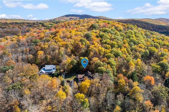 birds eye view of property featuring a mountain view