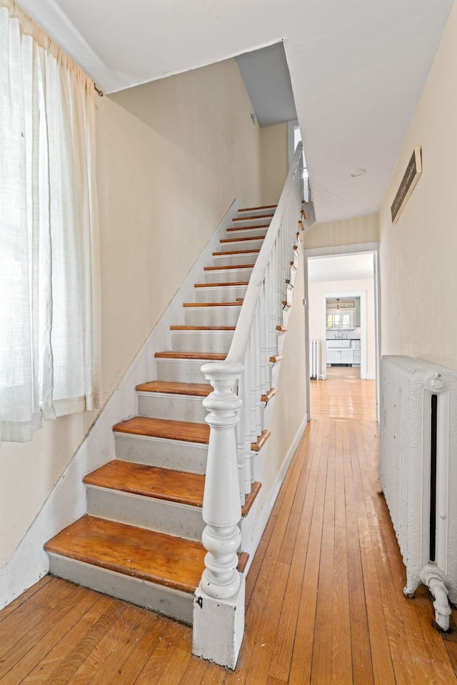 staircase with hardwood / wood-style floors and radiator