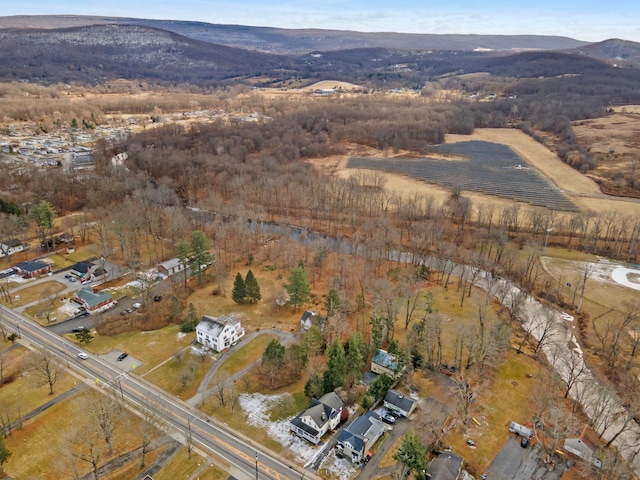 birds eye view of property featuring a mountain view