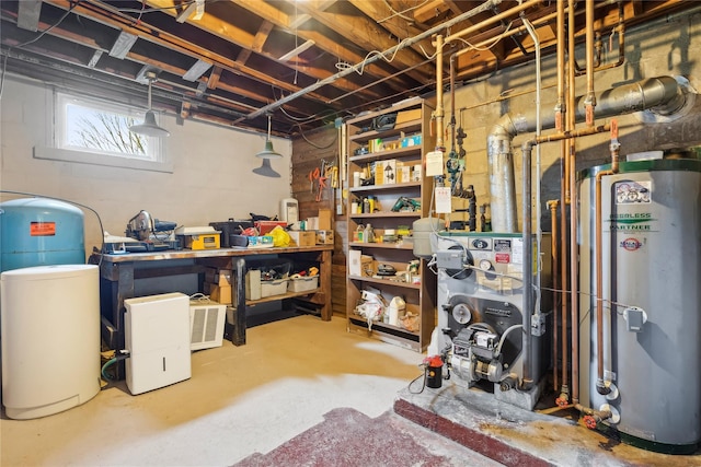 basement with gas water heater