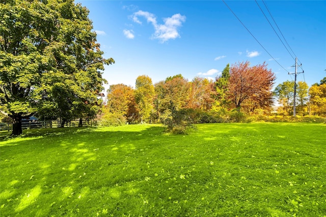 view of yard