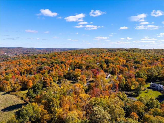 bird's eye view