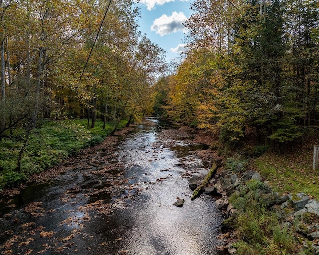 56 Winkelstern Ln, Kenoza Lake, NY 12750 - photo 5