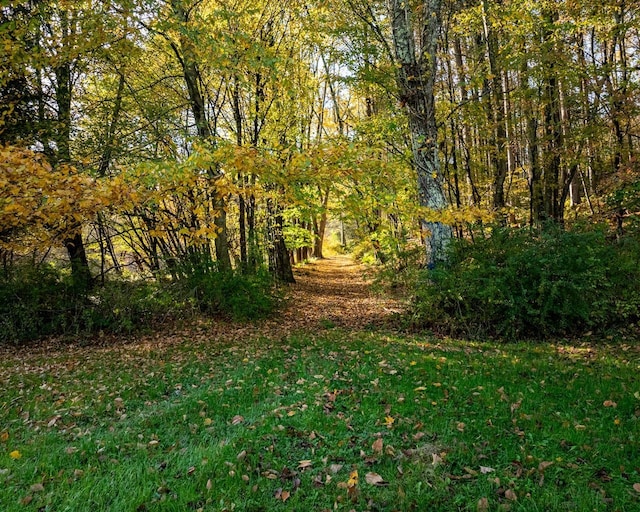 56 Winkelstern Ln, Kenoza Lake, NY 12750 - photo 10