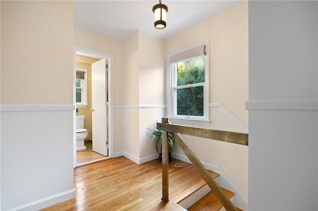 stairway with hardwood / wood-style floors