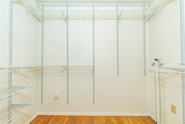 spacious closet with hardwood / wood-style floors