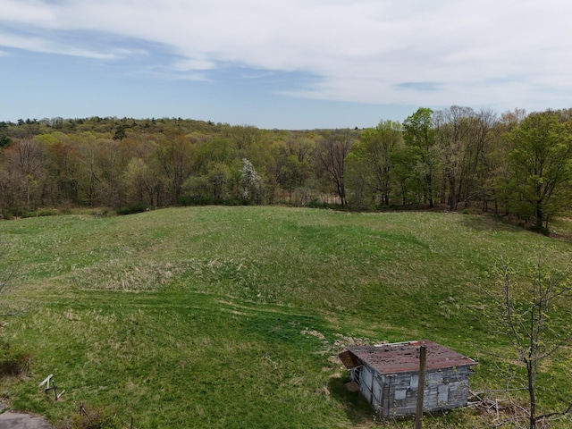 242 Old Mountain Rd, Otisville, NY 10963 - photo 31