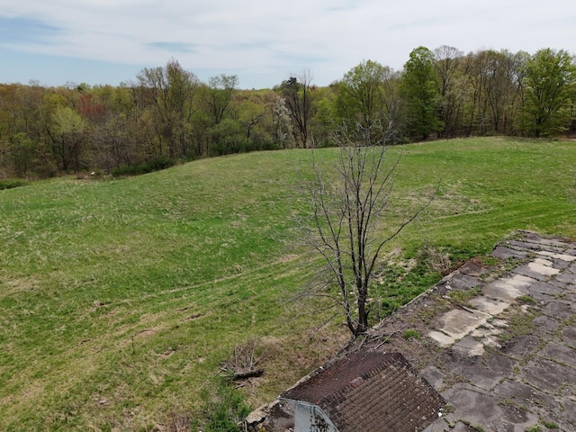 242 Old Mountain Rd, Otisville, NY 10963 - photo 10