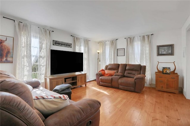 living room featuring light hardwood / wood-style floors and plenty of natural light