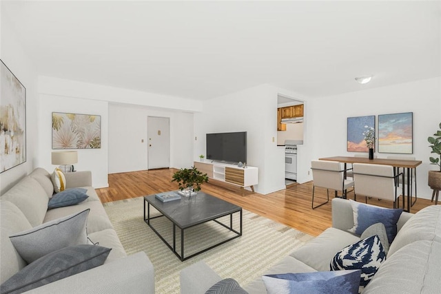 living room featuring light wood-type flooring