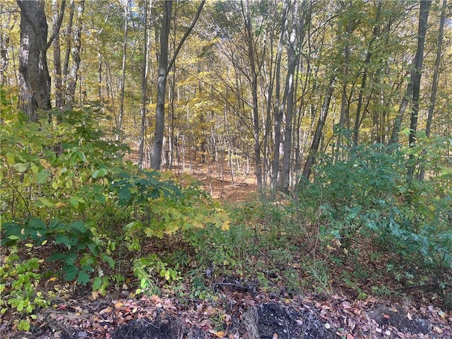 0 Budd Ln, Millerton NY, 12546 land for sale