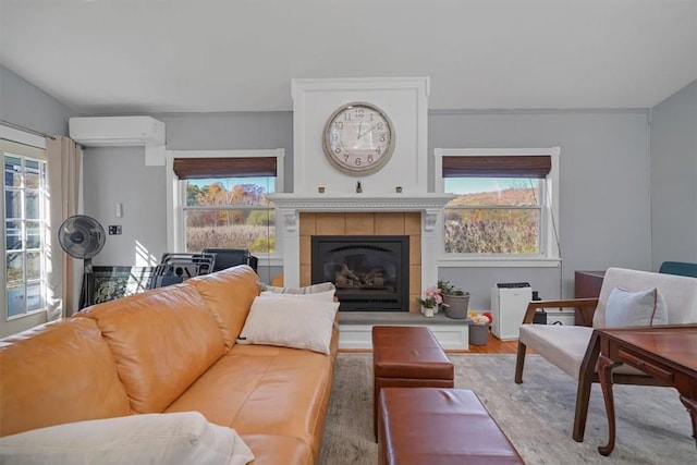 living room featuring hardwood / wood-style flooring, an AC wall unit, and a wealth of natural light