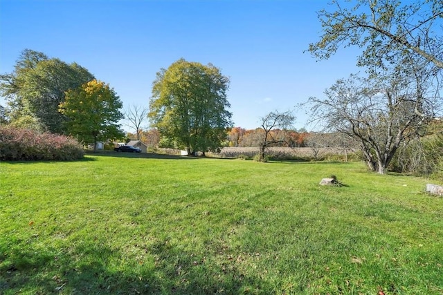 view of yard with a rural view